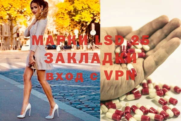 амф Алексин