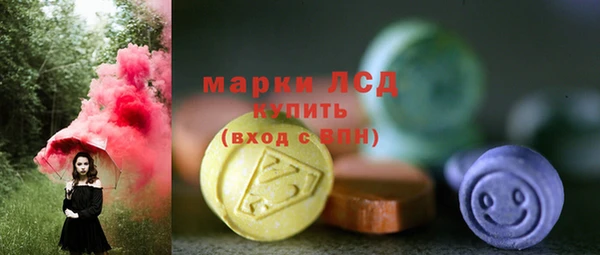 PSILOCYBIN Алзамай