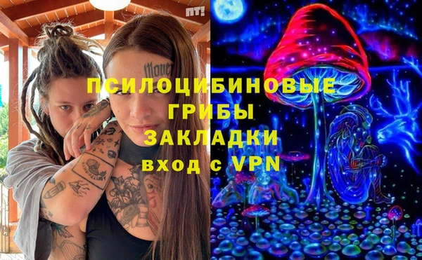 амф Алексин