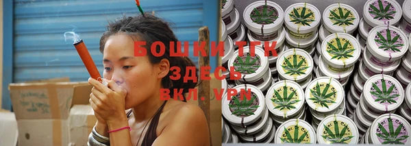 PSILOCYBIN Алзамай