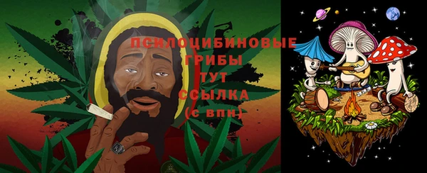 дмт Алексеевка