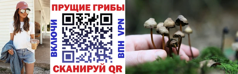 Галлюциногенные грибы мухоморы  Пыталово 